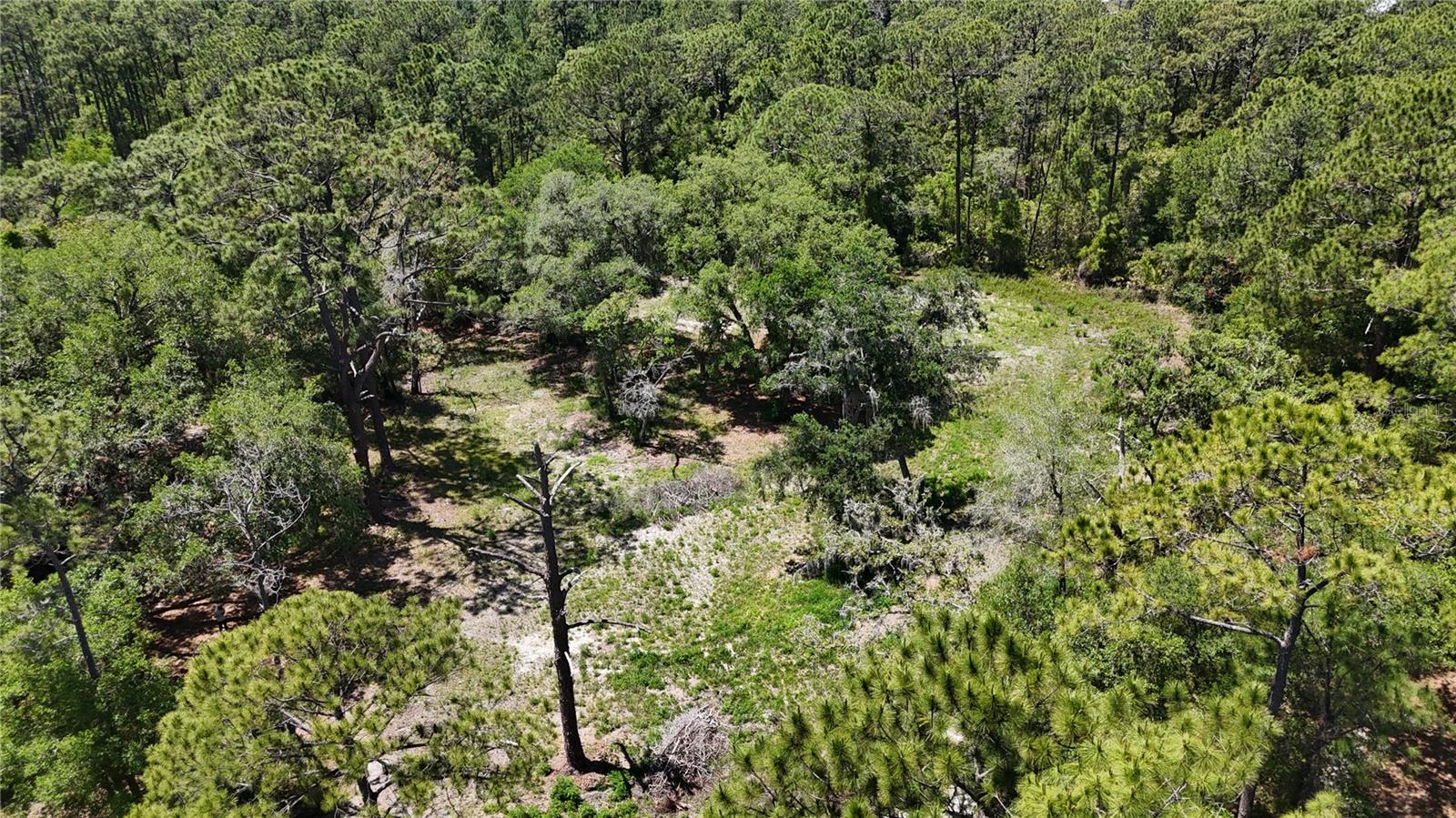 Image 3 of 25 For 9121 Florida Boys Ranch Road