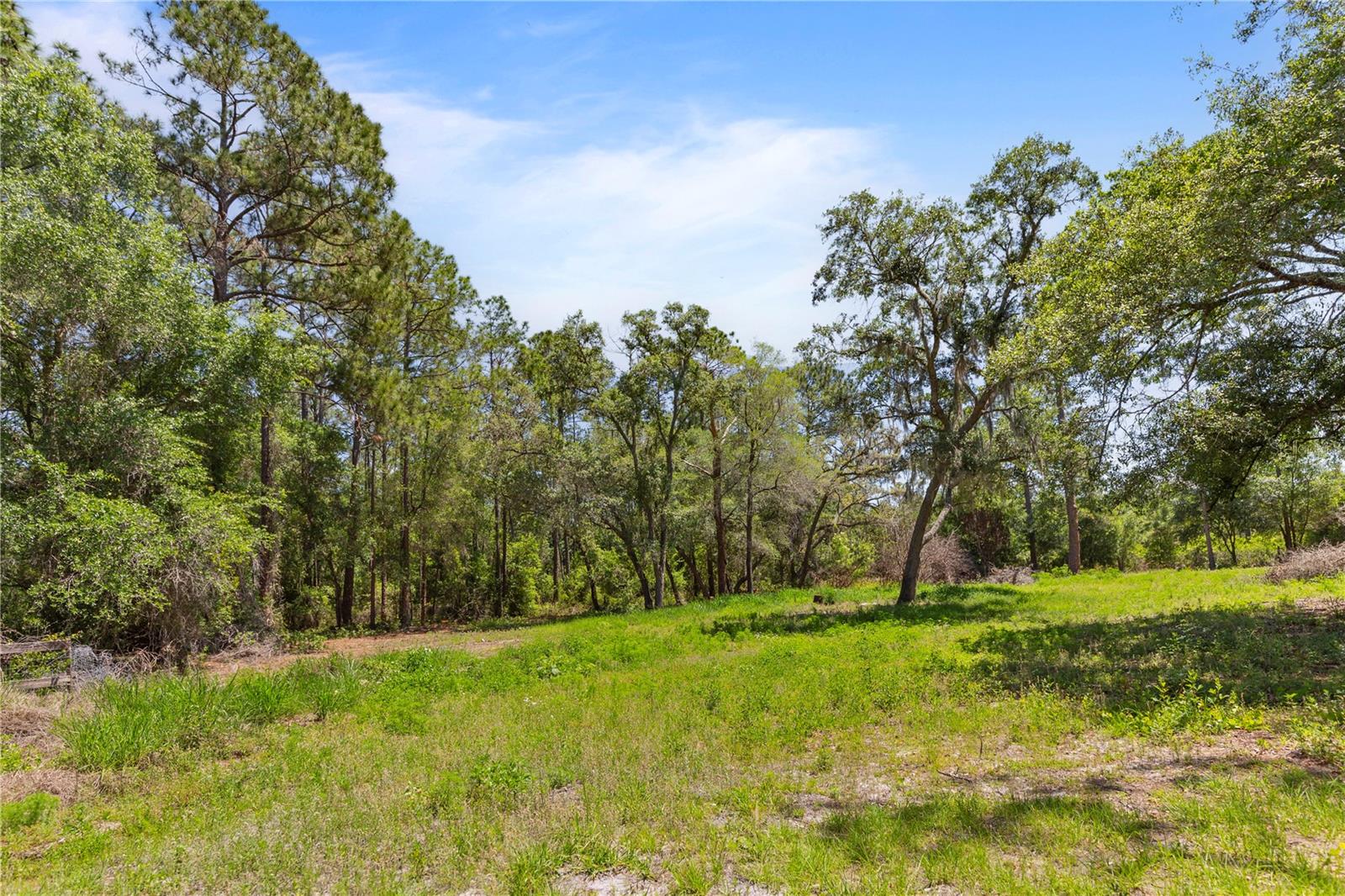 Image 8 of 25 For 9121 Florida Boys Ranch Road