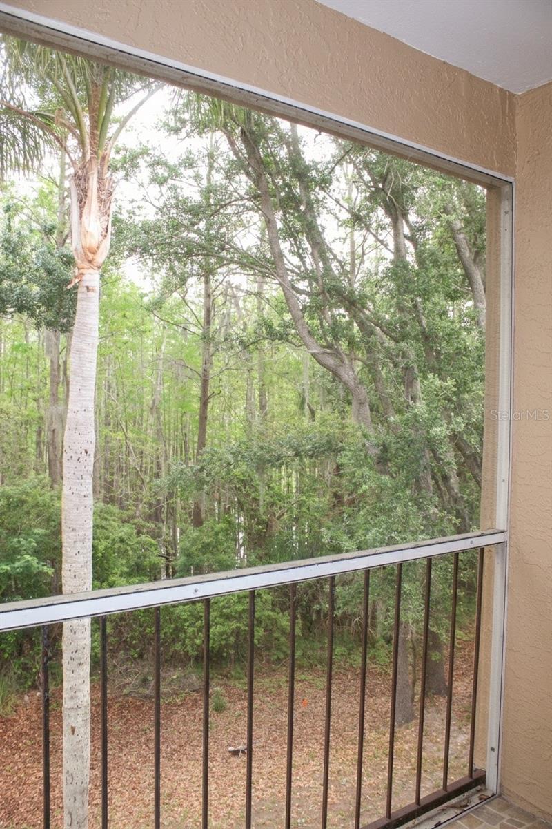 Image 13 of 23 For 8829 Coral Palms Court B