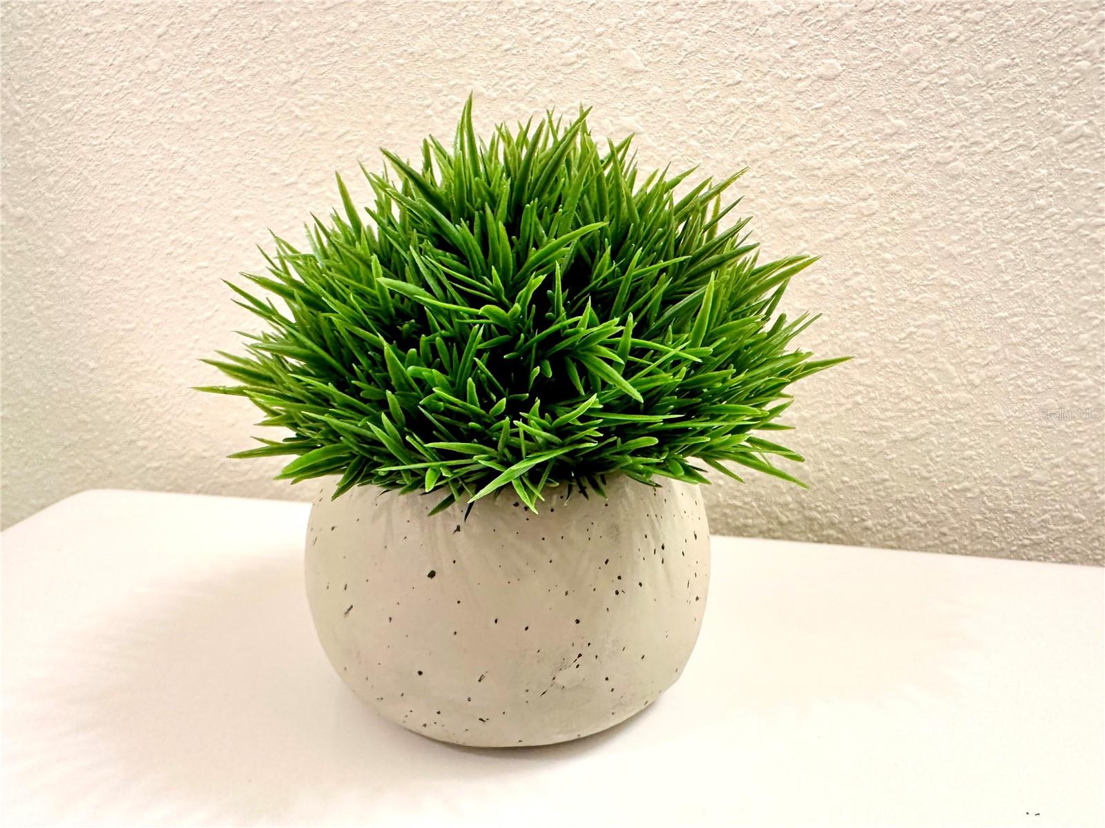 Image 13 of 21 For Address Not Provided