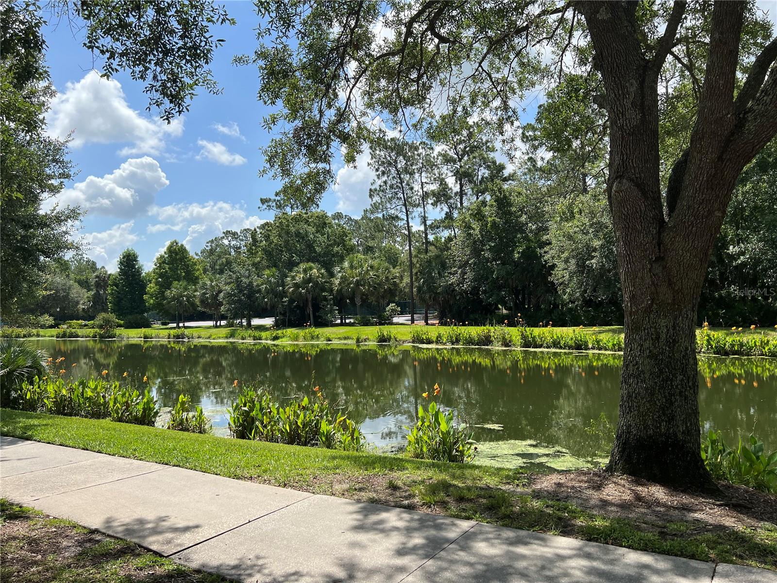 Image 14 of 14 For 619 Front Street 3104