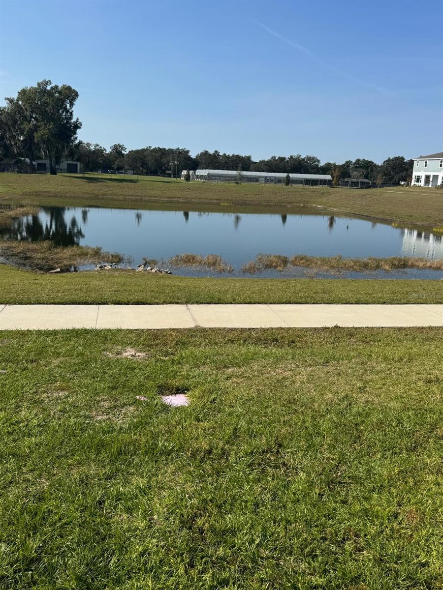 Image 22 of 22 For 466 Thompson Village Avenue