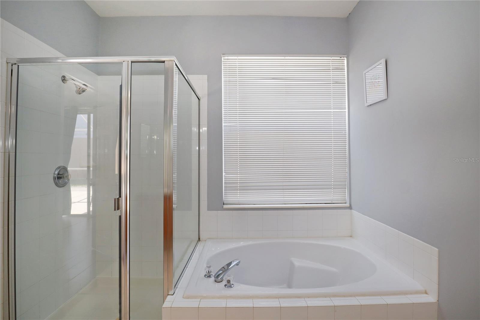 Image 22 of 42 For 8211 Fan Palm Way