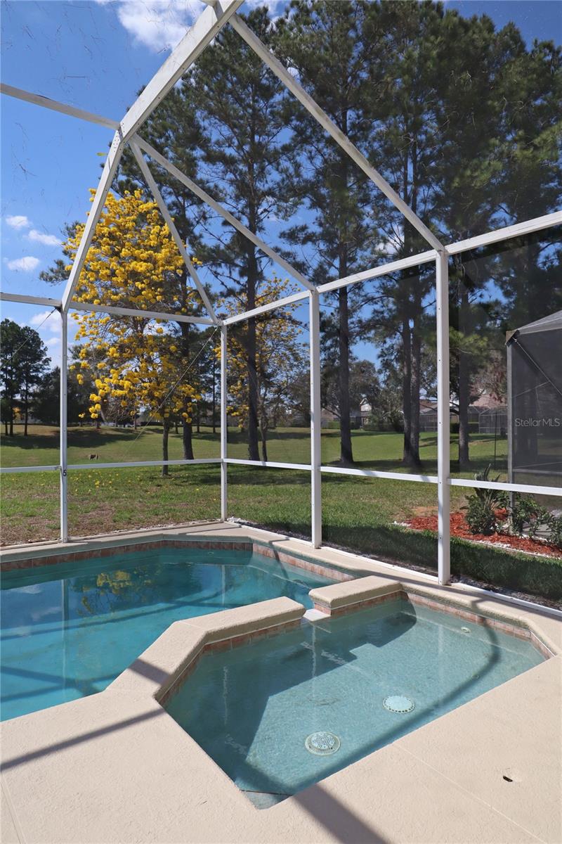 Image 35 of 42 For 8211 Fan Palm Way