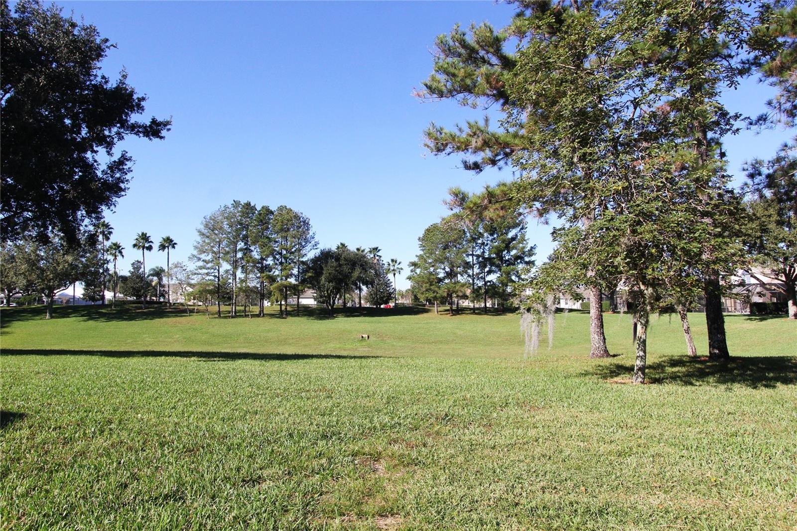 Image 39 of 42 For 8211 Fan Palm Way