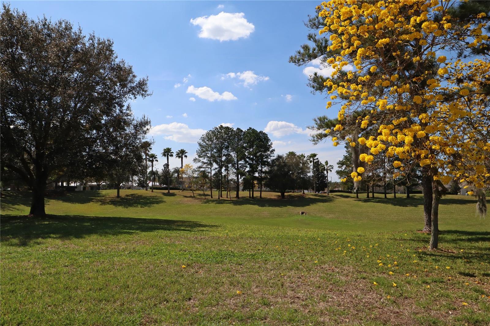 Image 40 of 42 For 8211 Fan Palm Way