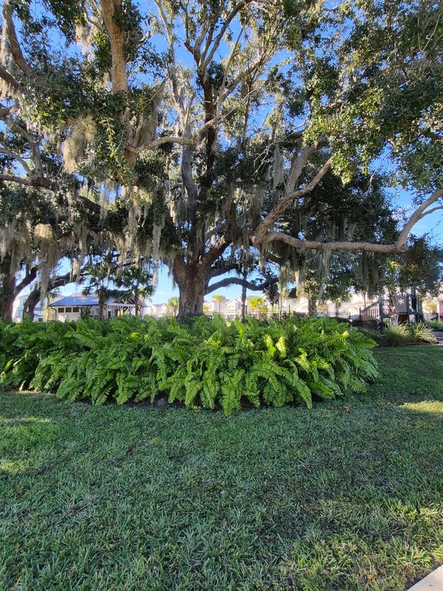 Image 28 of 28 For 1772 Stamen Drive