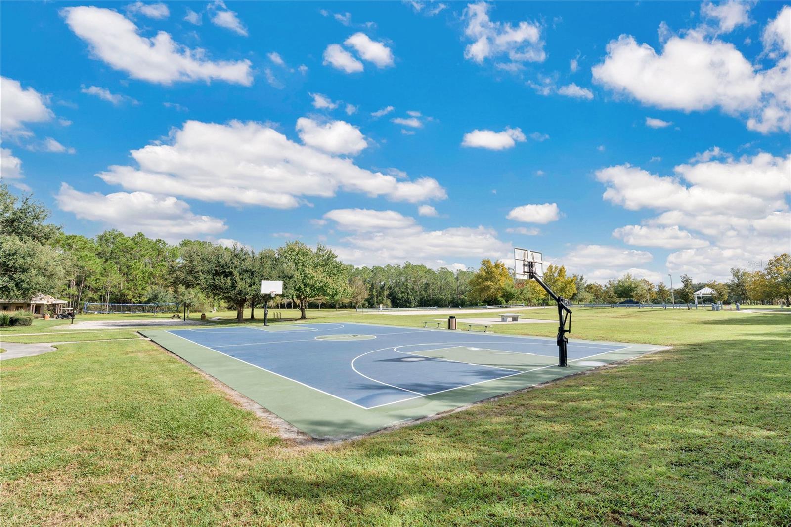 Image 33 of 59 For 3320 Bracken Fern Drive