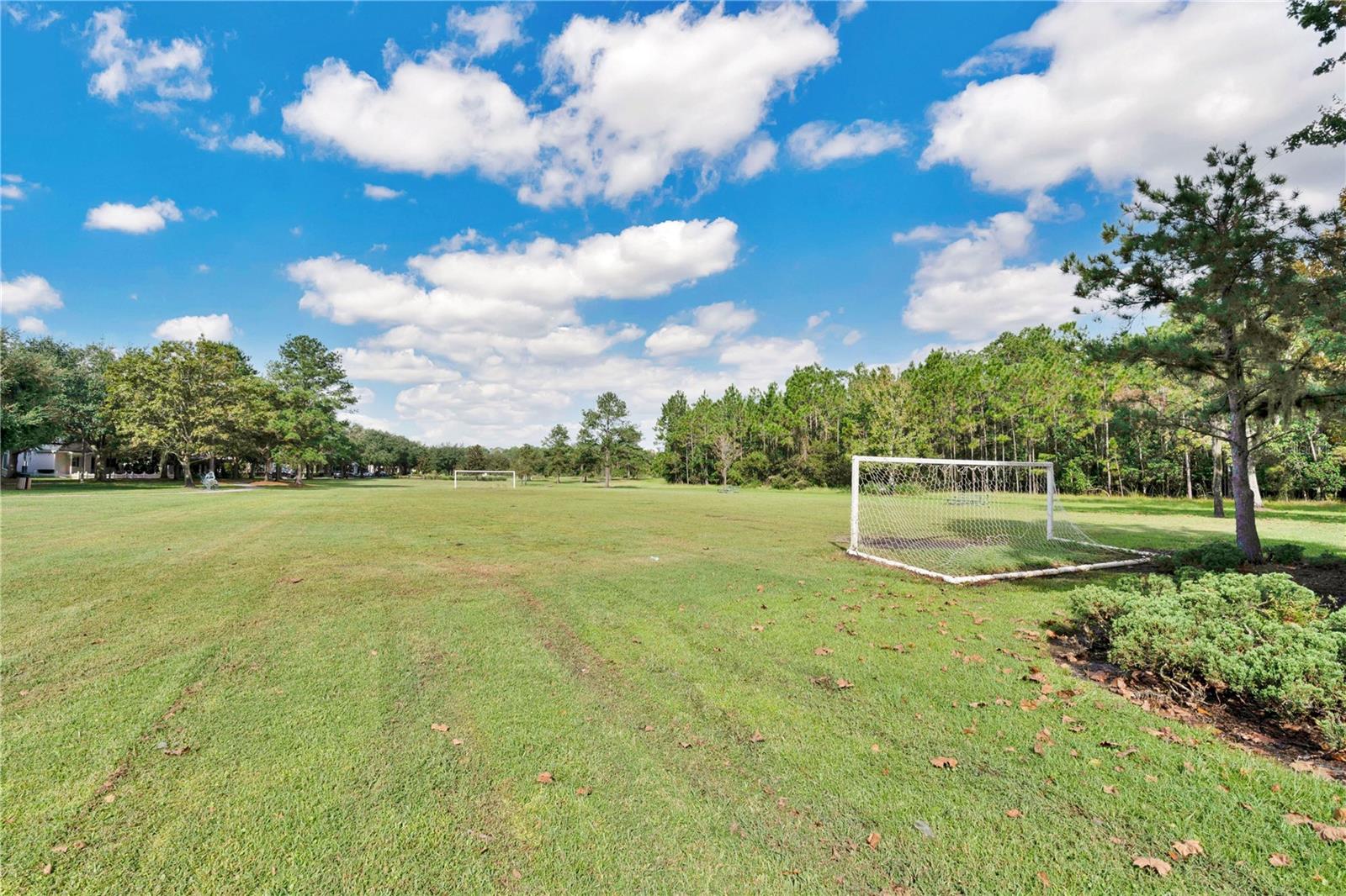 Image 37 of 59 For 3320 Bracken Fern Drive