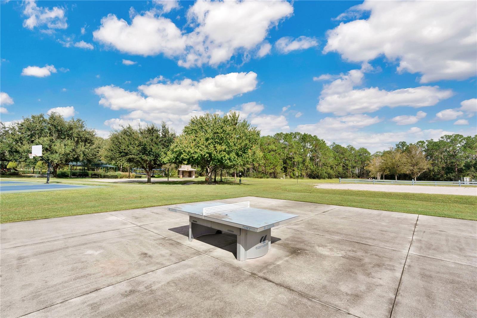 Image 42 of 59 For 3320 Bracken Fern Drive