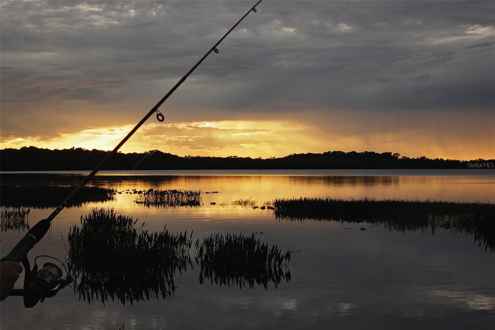 Image 46 of 54 For 3481 Middlebrook Pl