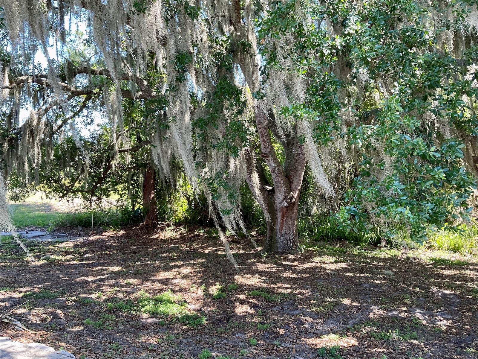 Image 29 of 31 For 132 Golf Aire Blvd