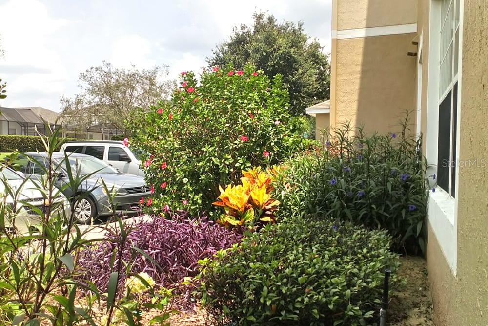Image 7 of 35 For 2307 Butterfly Palm Way 102