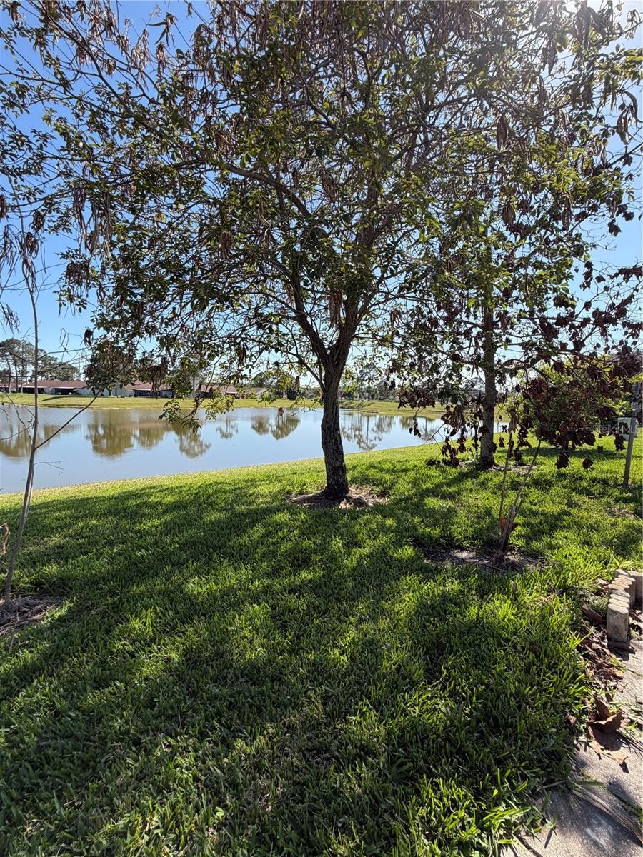 Image 43 of 44 For 36 Lakepointe Circle