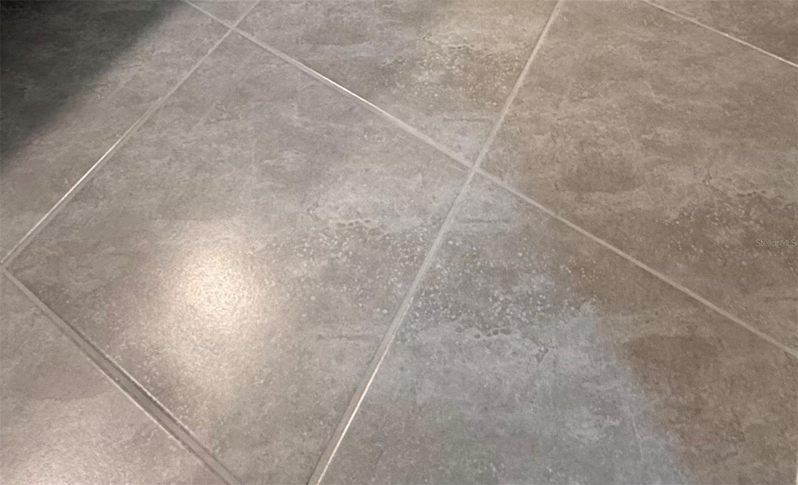 Image 43 of 59 For 1631 Bitteroot Street