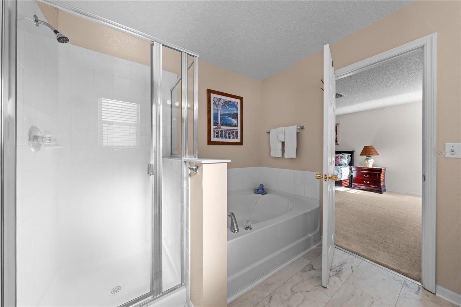 Image 37 of 69 For 16641 Sunrise Vista Drive