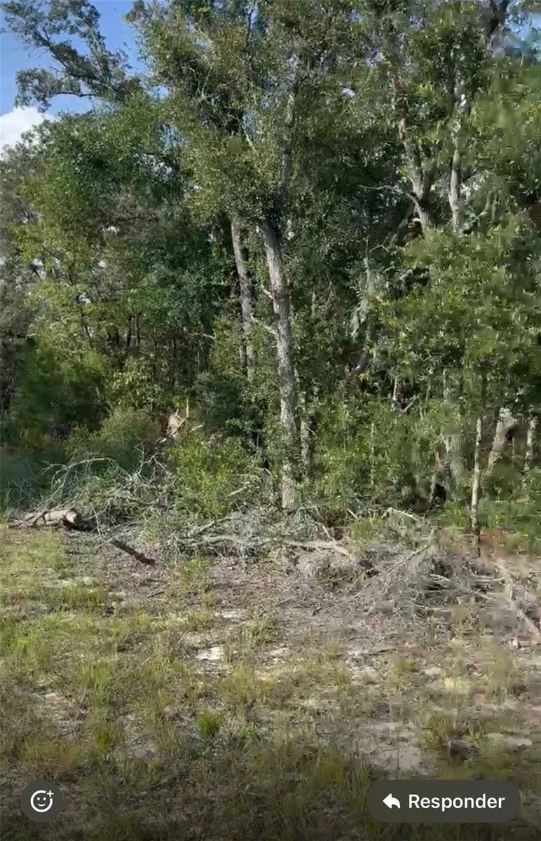 Image 3 of 3 For  97th Court 