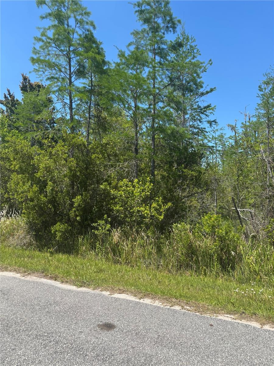 Image 10 of 11 For  Atlas Drive 