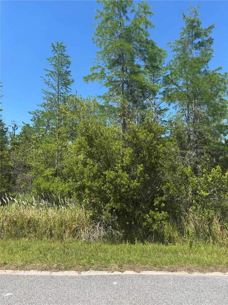 Image 2 of 11 For  Atlas Drive 