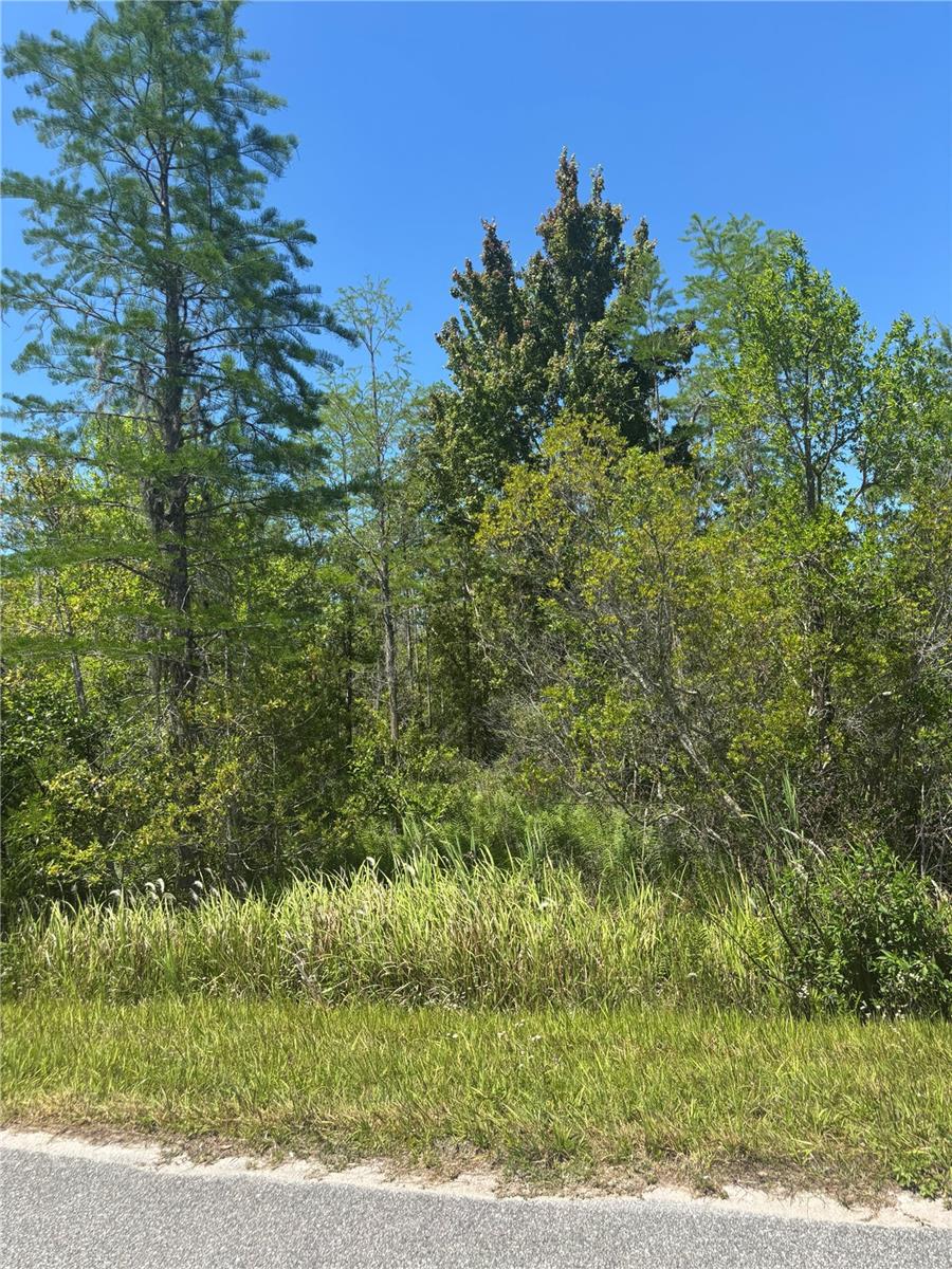 Image 4 of 11 For  Atlas Drive 