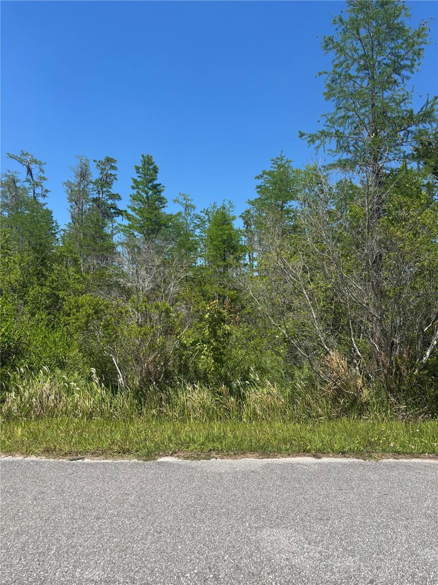 Image 5 of 11 For  Atlas Drive 