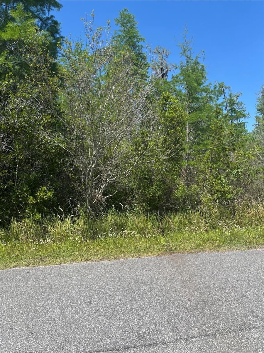 Image 6 of 11 For  Atlas Drive 