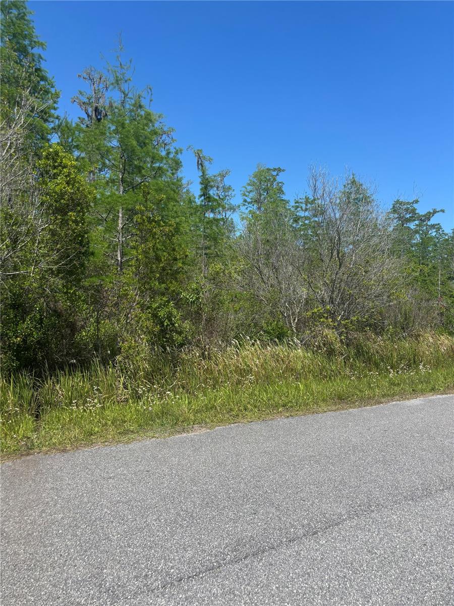 Image 7 of 11 For  Atlas Drive 