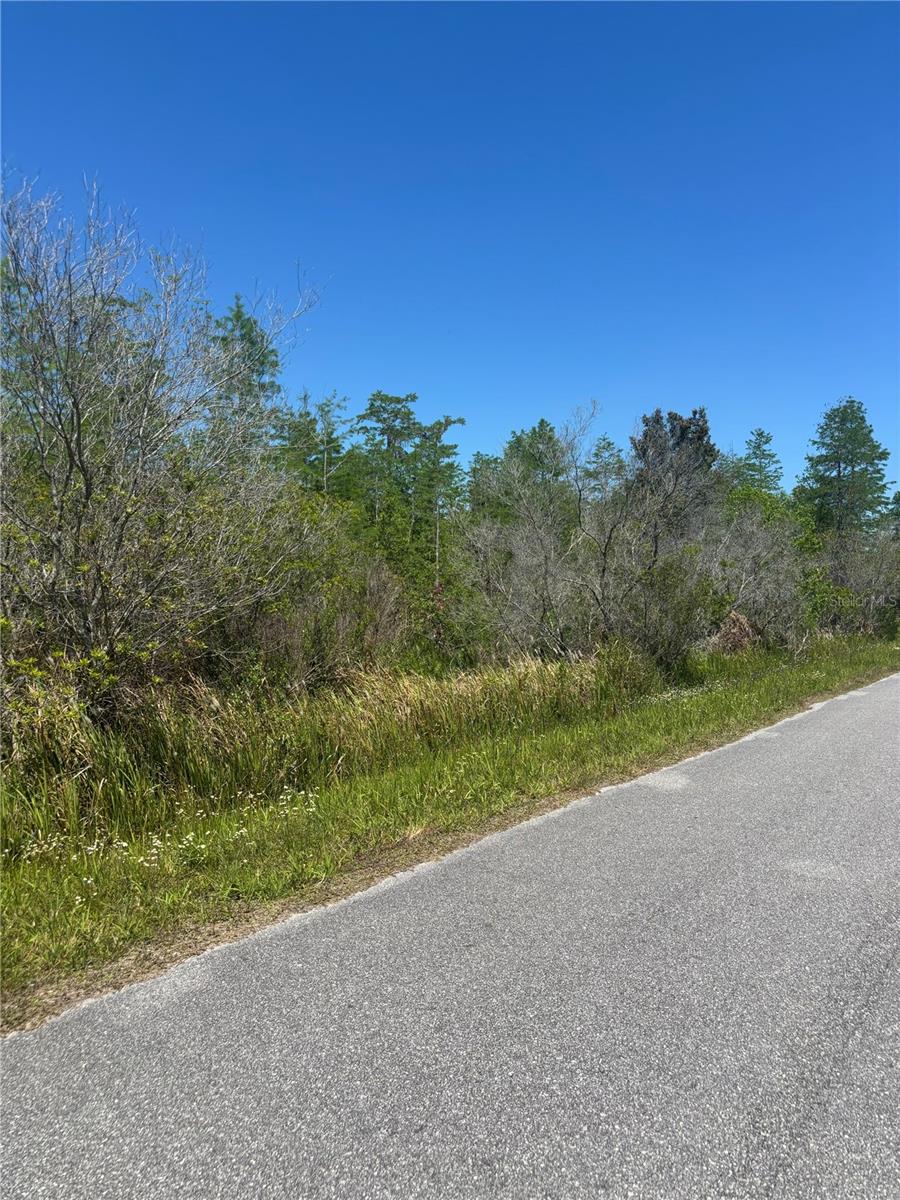 Image 9 of 11 For  Atlas Drive 