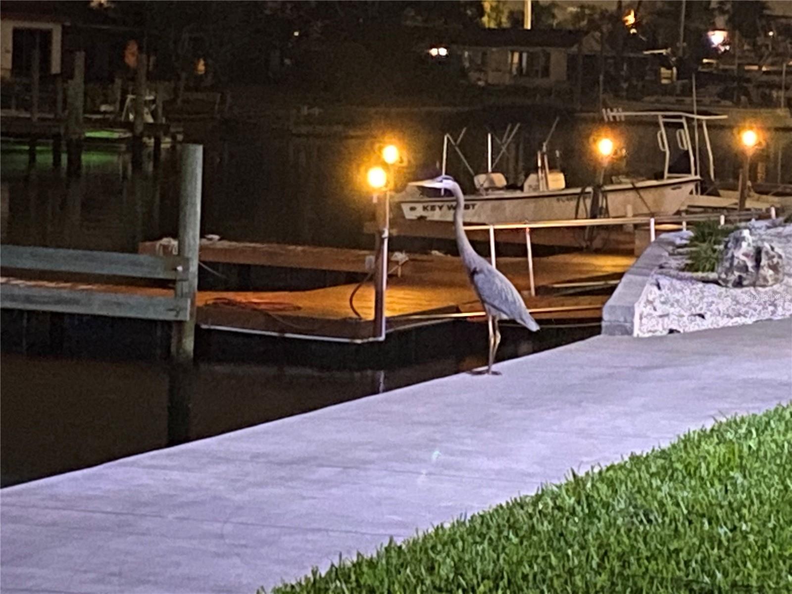 Image 39 of 85 For 5915 Sea Ranch Drive 711