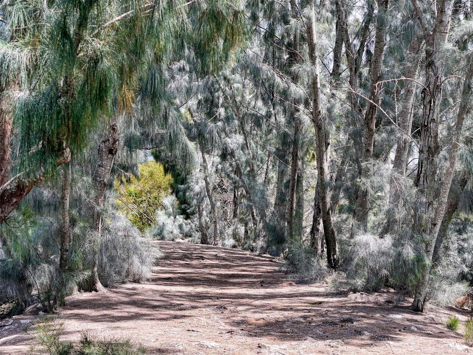 Image 66 of 85 For 5915 Sea Ranch Drive 711