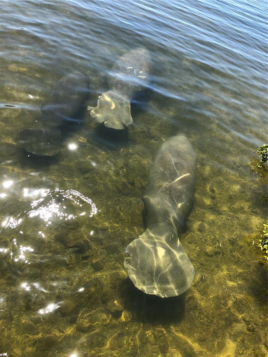 Image 72 of 85 For 5915 Sea Ranch Drive 711