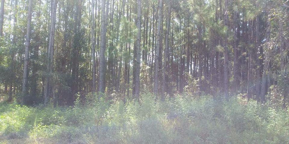 Image 2 of 2 For  Poyner Road 