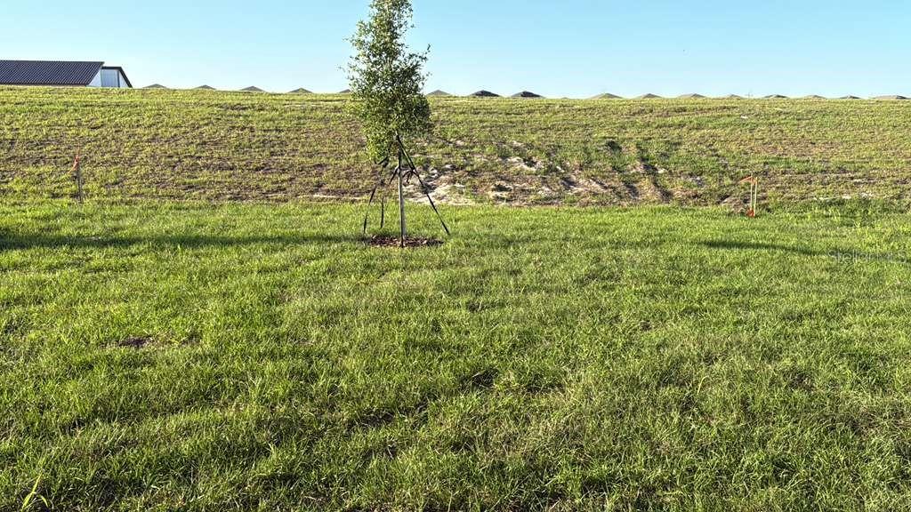 Image 19 of 19 For 3367 Alexander Drive