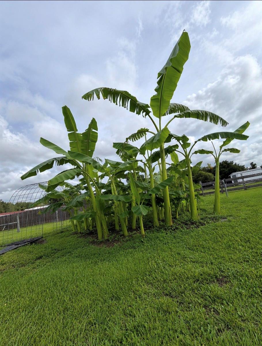 Image 26 of 26 For 4245 Henry J Avenue