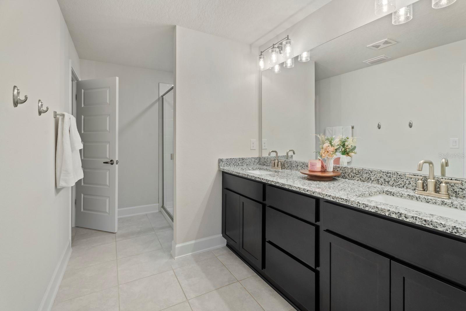 Image 22 of 48 For 4224 Sagefield Drive
