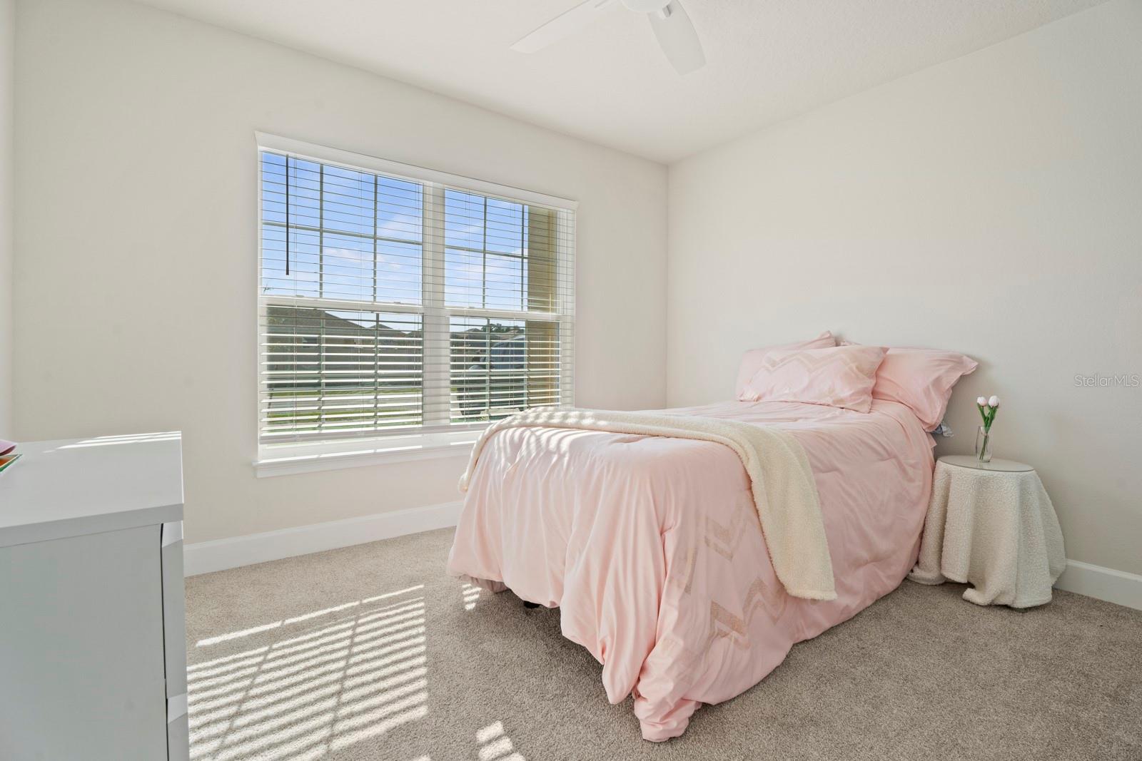 Image 30 of 48 For 4224 Sagefield Drive