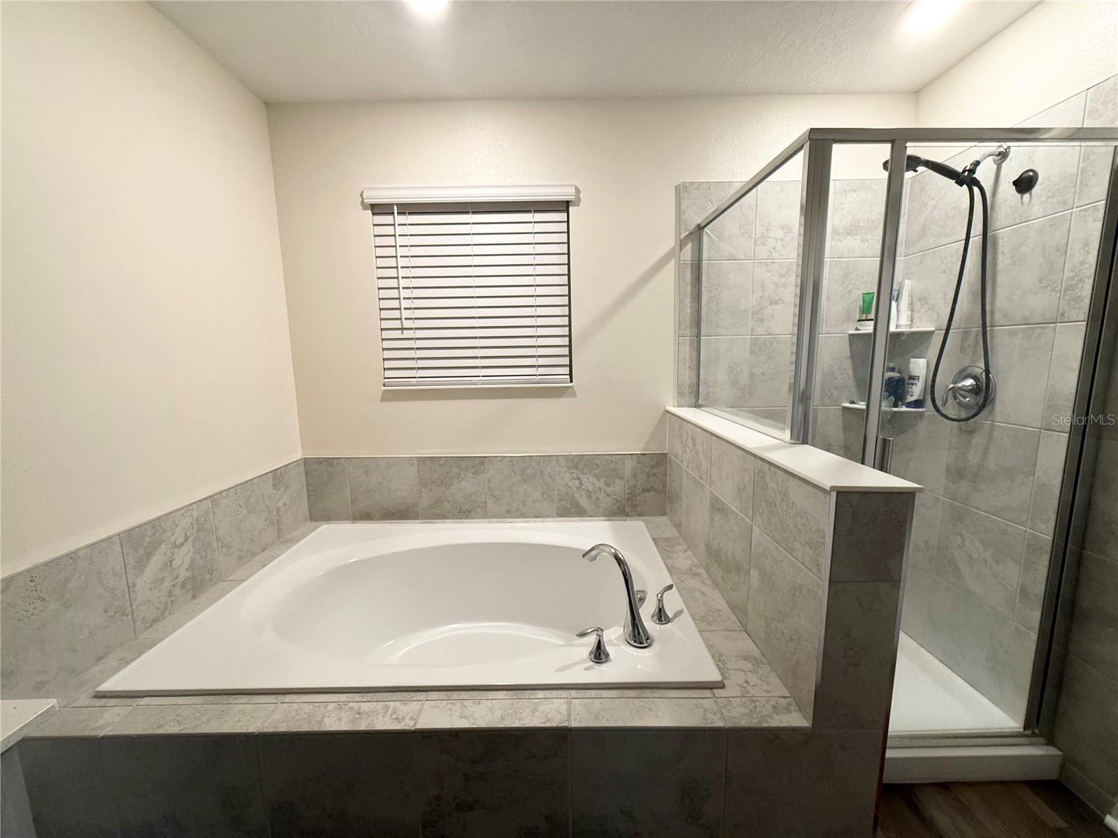 Image 30 of 35 For 1048 Downswing Place