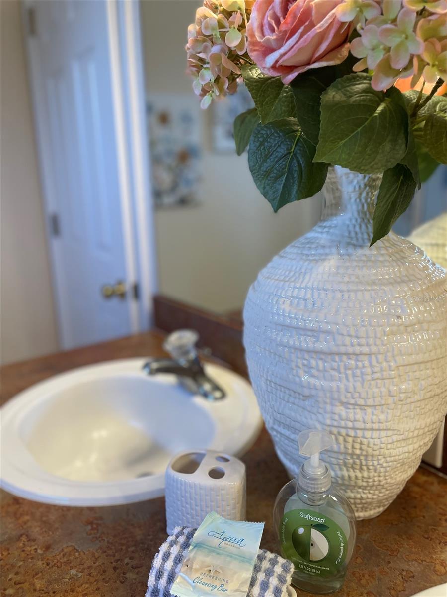 Image 32 of 68 For 141 Summer Place Loop