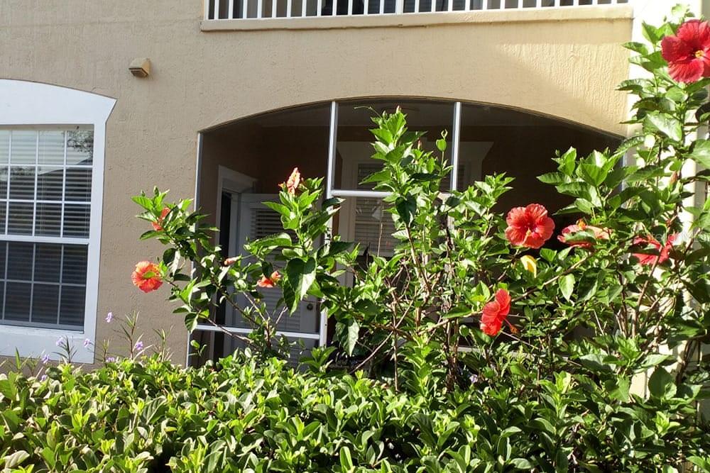 Image 13 of 39 For 2307 Butterfly Palm Way # 102
