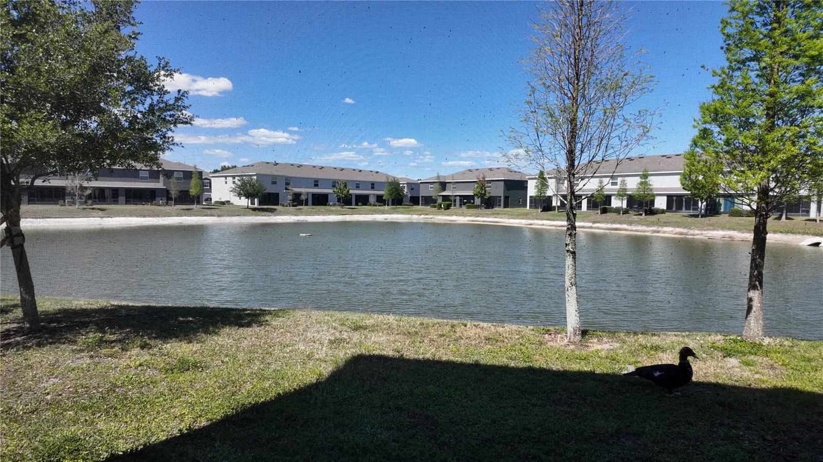 Image 5 of 26 For 8648 Falling Blue Place