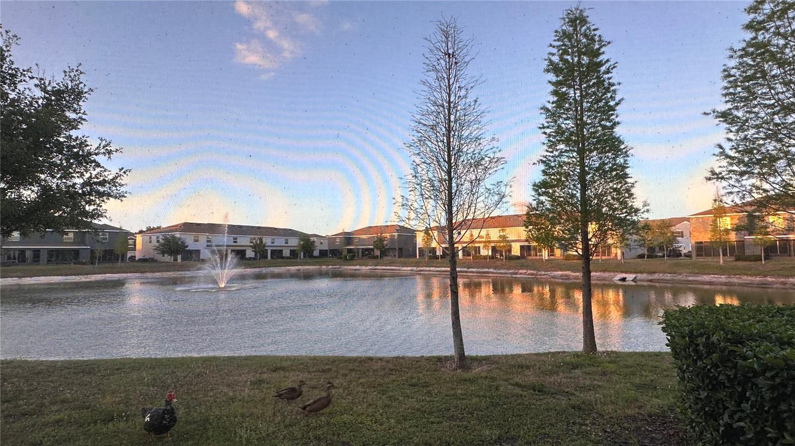 Image 6 of 26 For 8648 Falling Blue Place