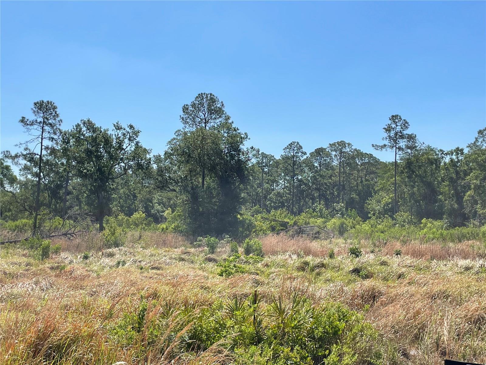 Details for  Avonwood  , TAMPA, FL 33625