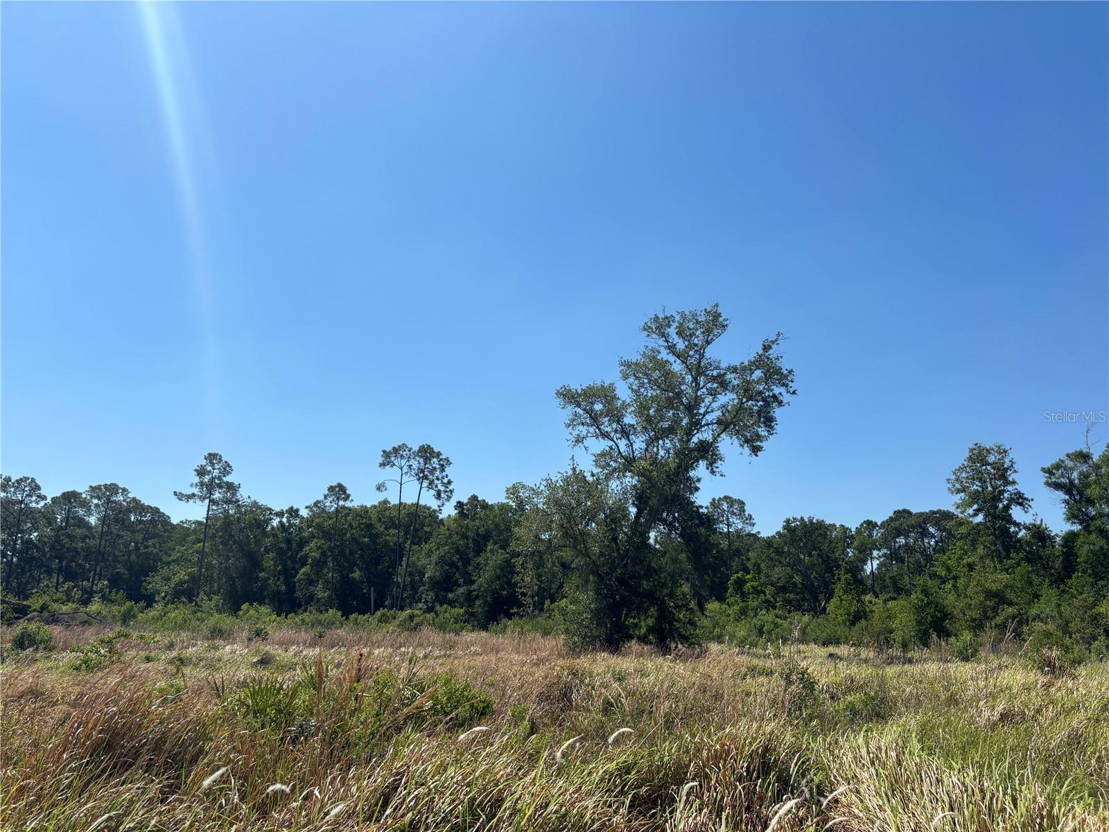 Image 2 of 9 For  Avonwood  