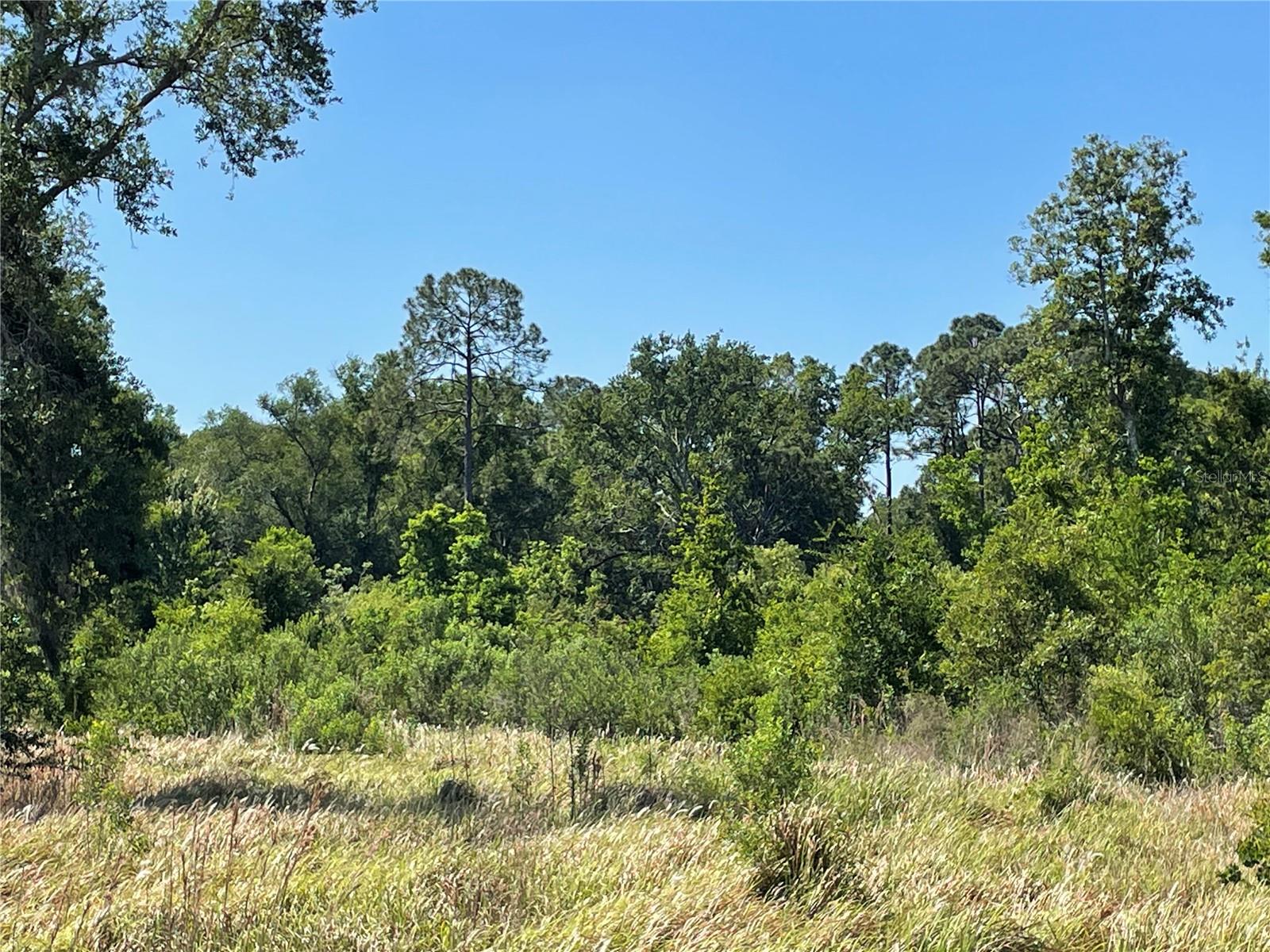 Image 3 of 9 For  Avonwood  