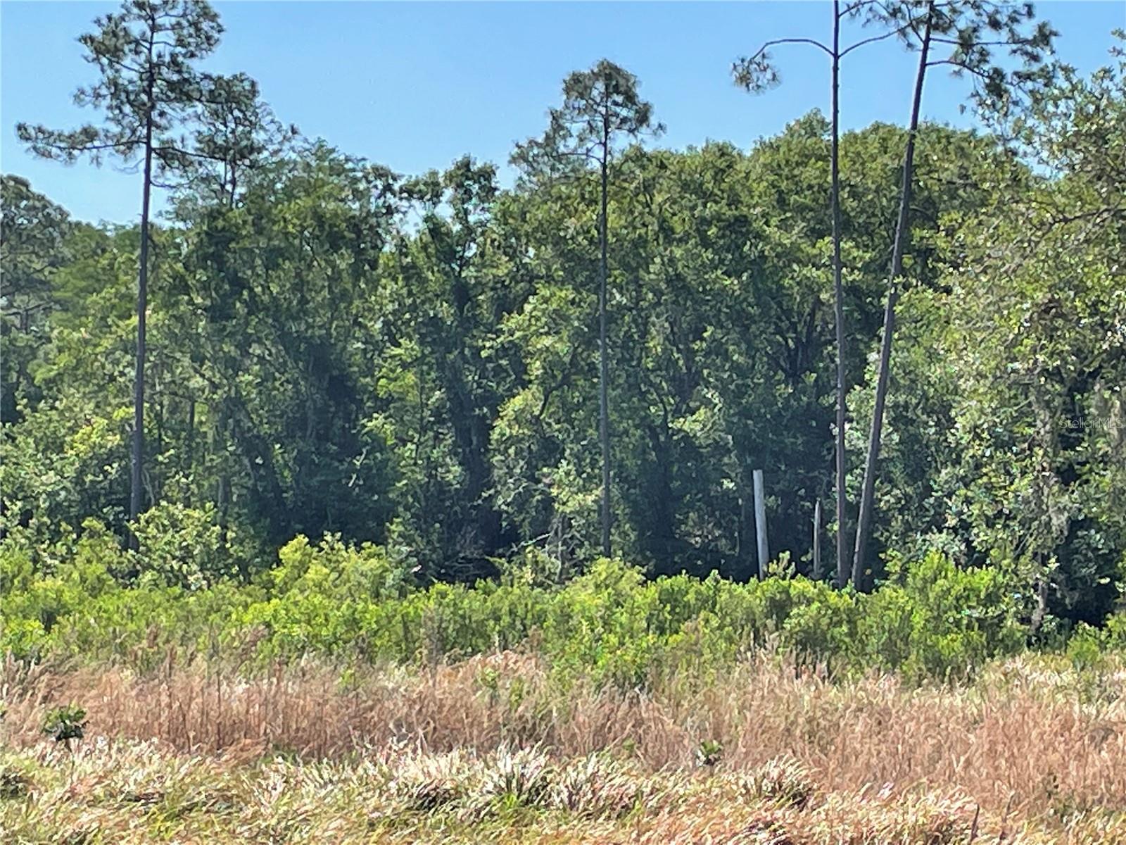 Image 7 of 9 For  Avonwood  