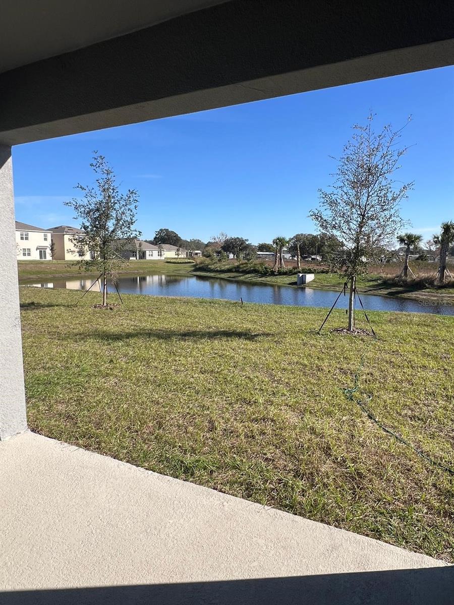 Image 7 of 25 For 631 Park Place Boulevard