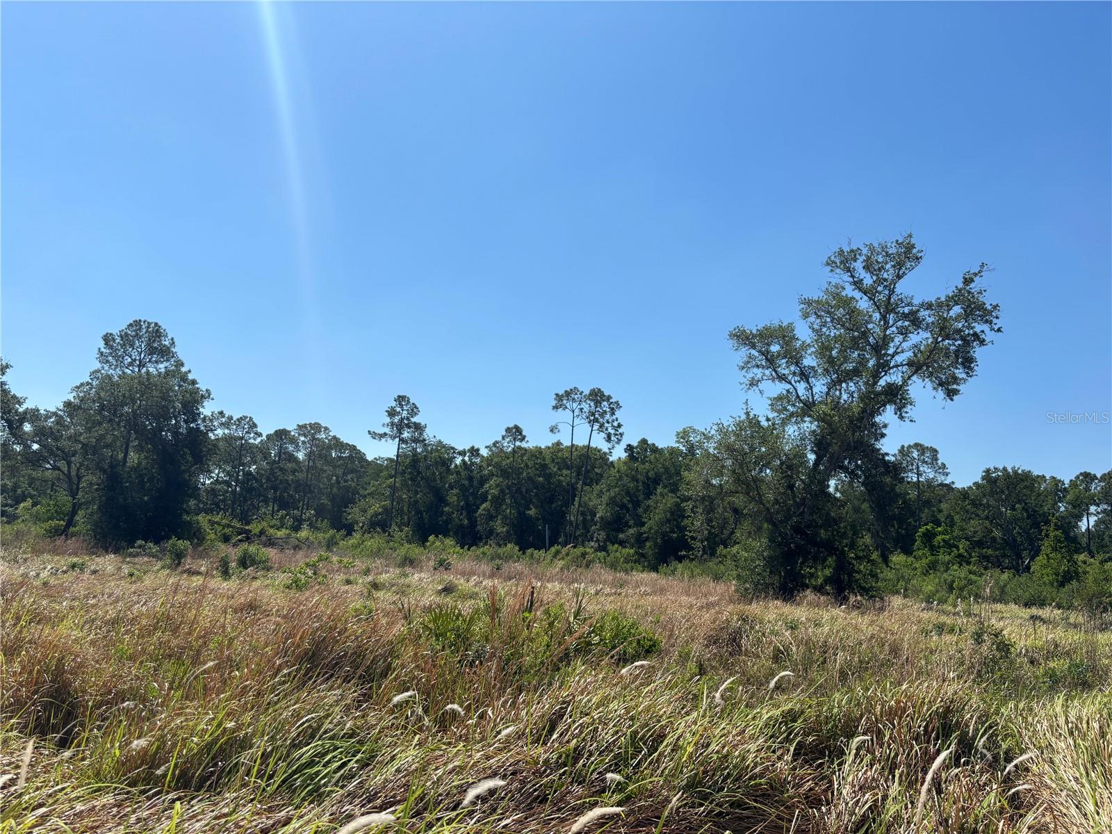 Image 6 of 9 For  Avonwood  