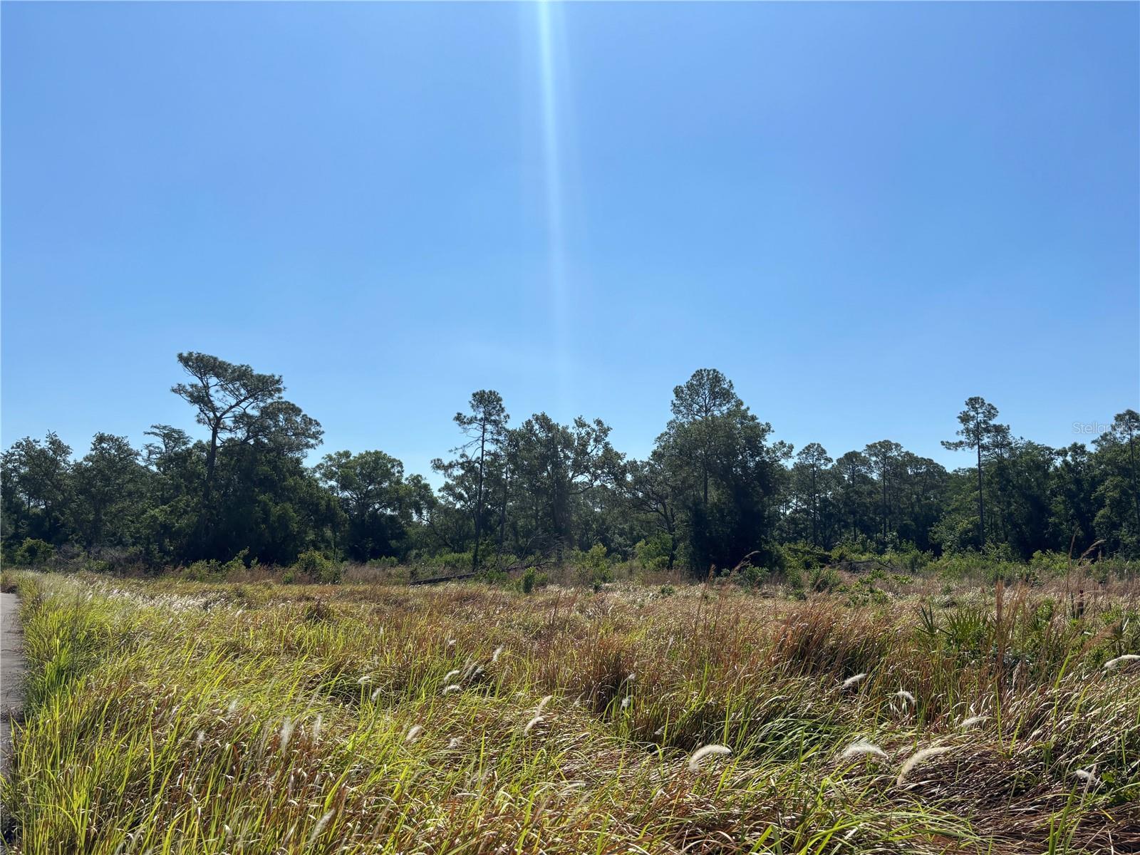 Image 8 of 9 For  Avonwood  