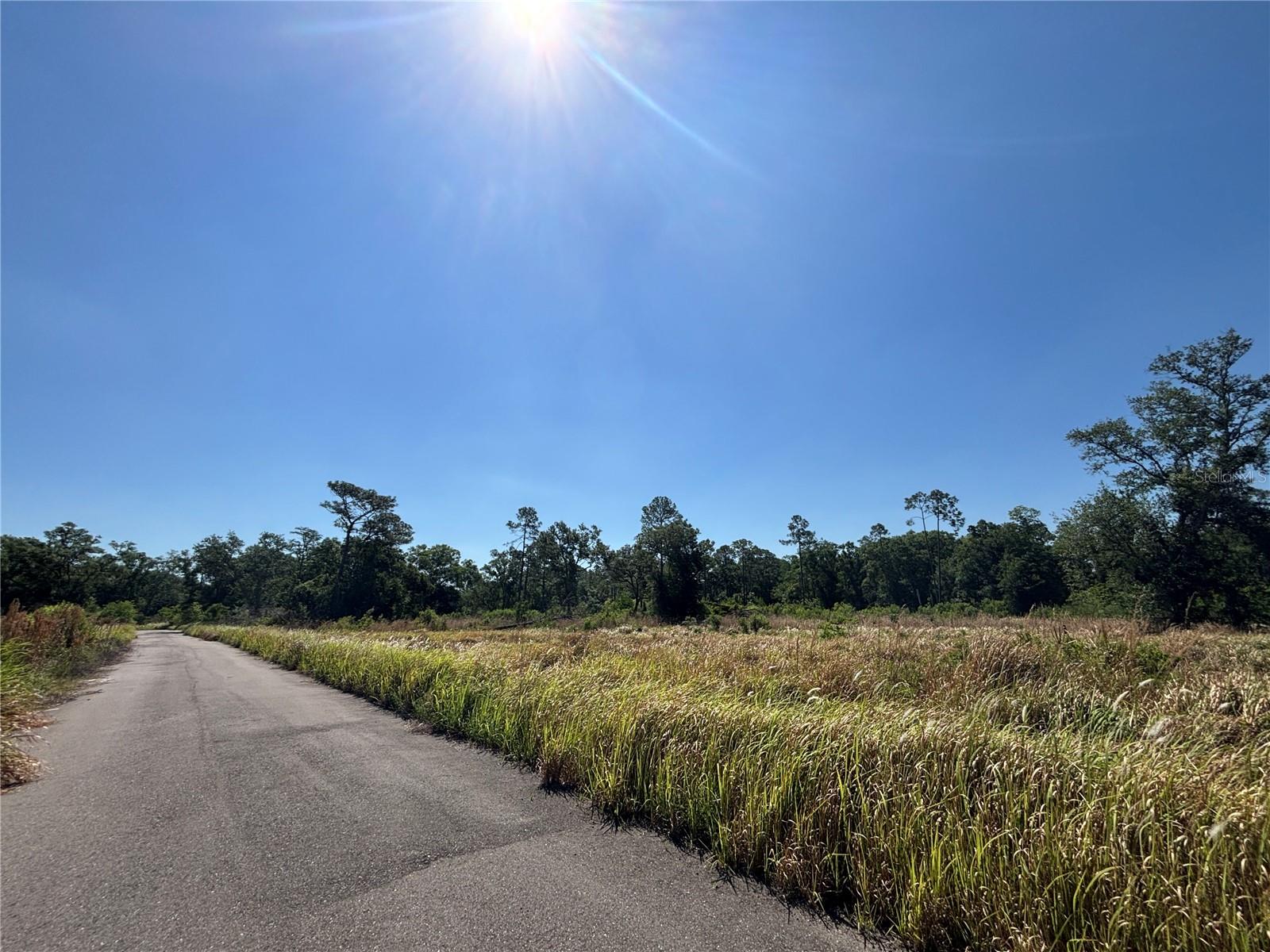 Image 9 of 9 For  Avonwood  