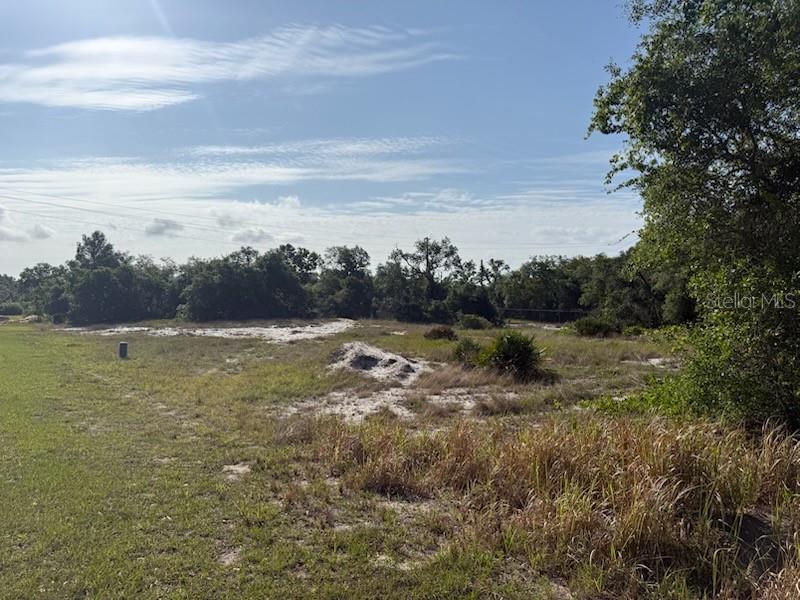 Image 2 of 3 For Cedarwood Drive